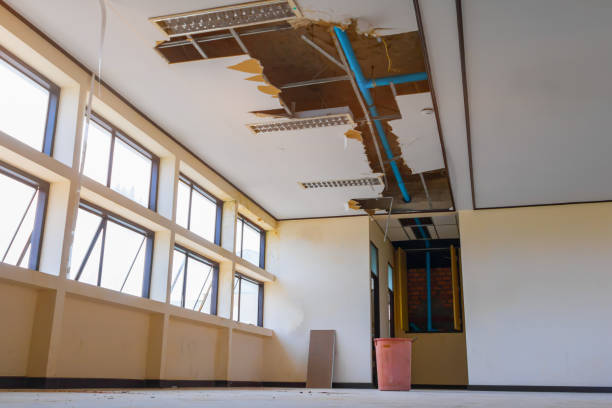 Best Basement water damage restoration  in Tullahoma, TN
