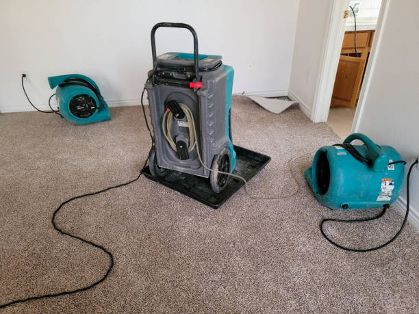 Best Water damage restoration cost  in Tullahoma, TN