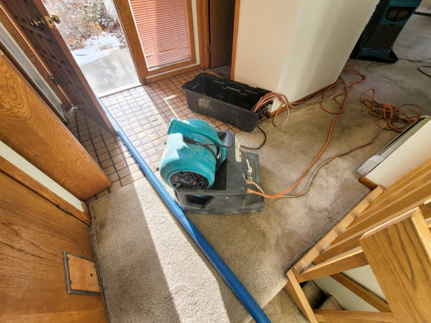 Best 24-hour water damage restoration  in Tullahoma, TN