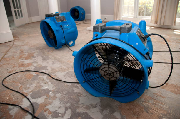 Carpet water damage restoration in Tullahoma, TN