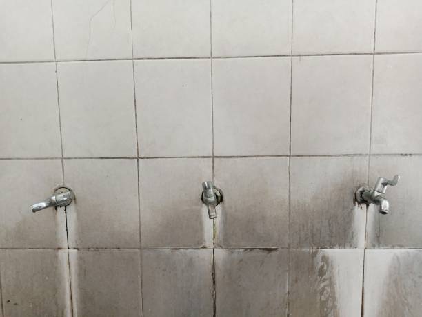 Best Water damage restoration near me  in Tullahoma, TN