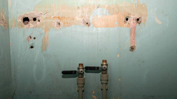 Best Mold removal after water damage  in Tullahoma, TN