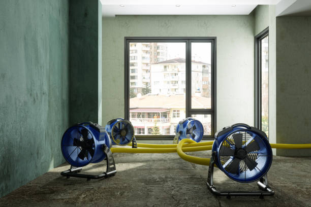 Best Carpet water damage restoration  in Tullahoma, TN