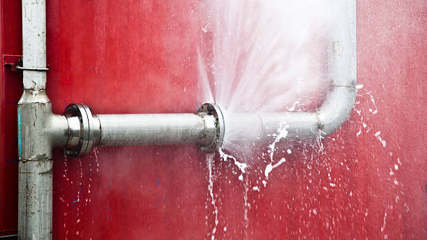 Best Carpet water damage restoration  in Tullahoma, TN