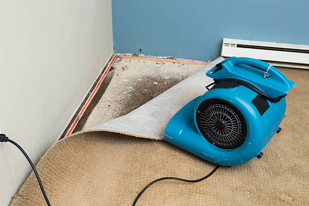 Best Water damage restoration process  in Tullahoma, TN